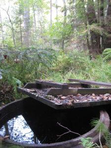 En grundvattenbrunn i skog. Locket är avdraget så att grundvattenytan syns.