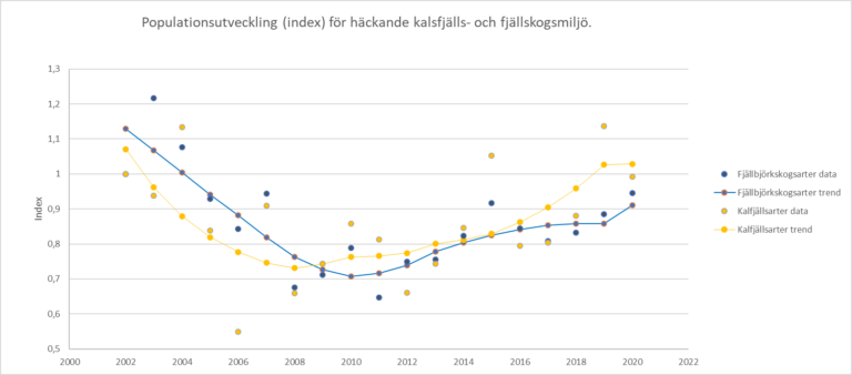 Populationsutvecklingen för häckande fåglar i fjällen. Indexvärden (punkter) för miljömålsindikatorerna kalfjällsarter (gul) och fjällbjörkskogsarter (blå) mellan 2002 – 2020 samt deras trendlinjer. Gul linje för kalfjällsarter och blå linje för fjällbjörkskogsarter. Båda trendlinjer visar en negativ utveckling mellan 2002 till och med 2008 och 2010. De senaste 12 åren visar trendlinjerna på positiva trender fram till 2020.