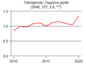 Tobisgrisslan har långsamt men säkert ökat i antal mellan 2010 och 2020. Trenden i Y/X är även den signifikant positiv, vilket den inte är i BD/AC. Dock drar det åt det positiva hållet även här.