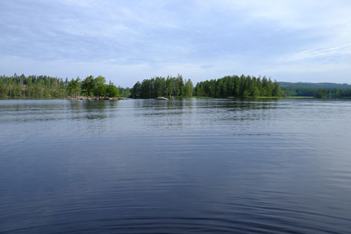En sjö med stilla vatten, i bakgrunden syns träd.