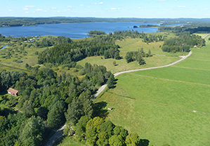 Flygfoto över landskap med träd, vatten, åker och väg.