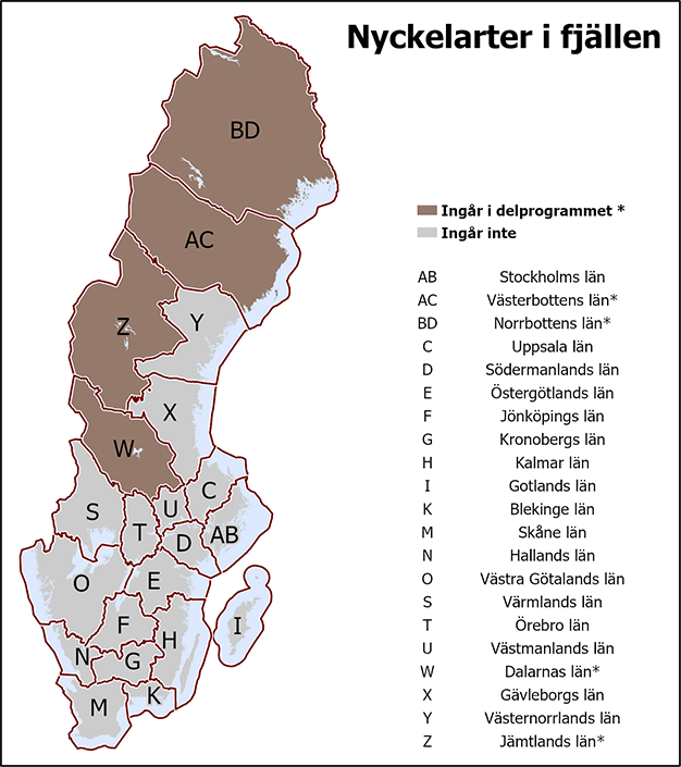 I det gemensamma delprogrammet GDP Nyckelarter i fjällen ingår Dalarnas, Jämtlands, Norrbottens och Västerbottens län.