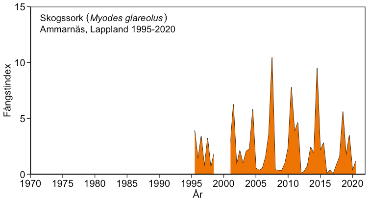 Populationsdynamiken för skogssorken i Ammarnäs. Övervakningen startade 1995. Under andra halvan av 1990-talet visade skogssorken ett tydligt ”sågtandsmönster” som indikerar säsongsvariationer i stället för cyklicitet. Sedan 2001 (ingen fångst 1999-2000) visar populationsdynamiken för skogssorken och andra gnagare dock en tydlig cyklicitet med 3-4 år mellan populationstopparna.